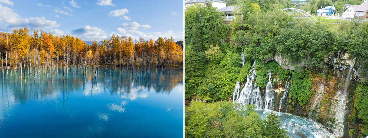 左）青い池・秋（美瑛町提供）　右）白ひげの滝